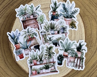 Houseplant Sticker Pack | 6 Stickers