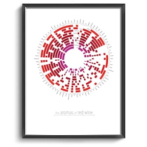 Aromas del vino tinto / Póster infográfico / Vino tinto / Guía de vinos / Arte del vino / Decoración de pared para la cocina / Póster de vino / Catas de vino / Aromas del vino