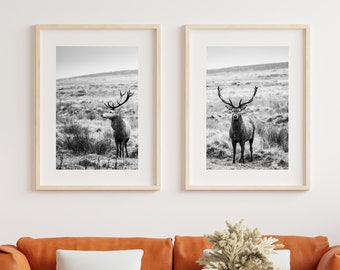 Stags Black and White Print Set - Black and White Photography - Stag Print - Stag Poster - Fine Art Photography - Stag Wall Art - Fine Art