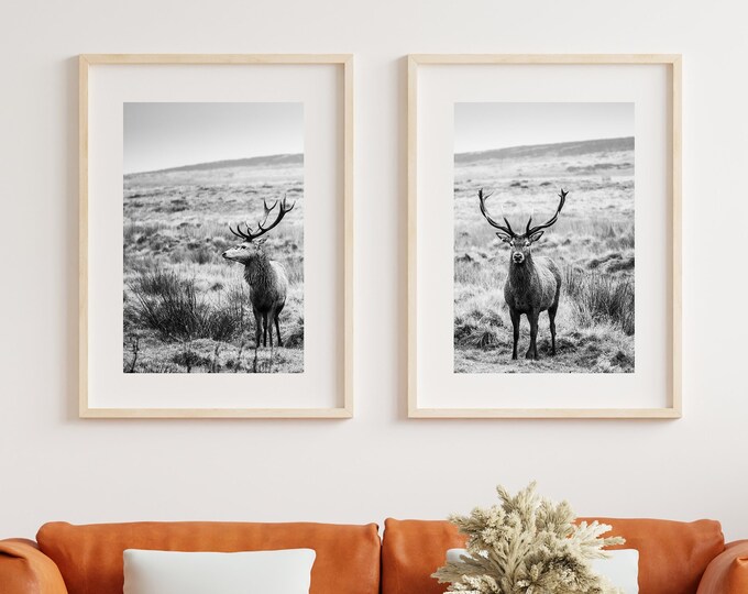 Stags Black and White Print Set - Black and White Photography - Stag Print - Stag Poster - Fine Art Photography - Stag Wall Art - Fine Art