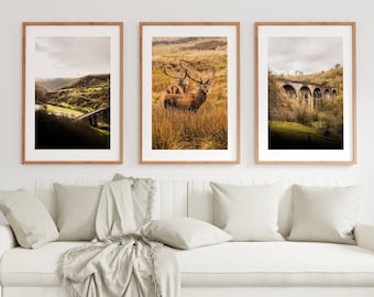 Peak District Print Set - Fine Art Photography Prints - Rustic Landscape Photography - Farmhouse - Country - Rustic - Stag - Peak District