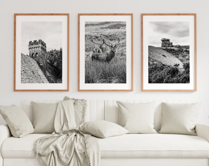 Peak District Print Set - Black and White Fine Art Photography Prints - Millstone Edge - Stag - Derwent Dam - Peak District Wall Art - Gift