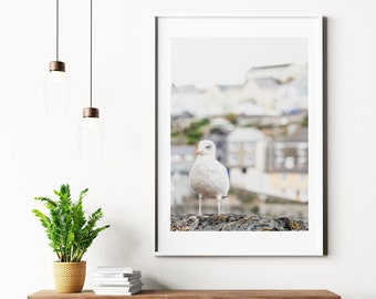 Seagull Art Print - Megavissey - Cornwall - Coastal Photography Print - Seagull Print - Seagull Poster - Neutral - Contemporary - Warm