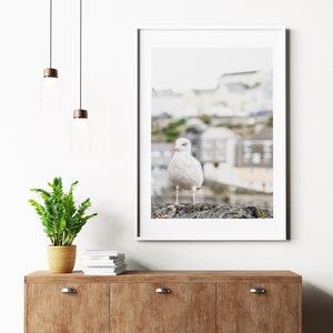 Seagull Art Print - Megavissey - Cornwall - Coastal Photography Print - Seagull Print - Seagull Poster - Neutral - Contemporary - Warm