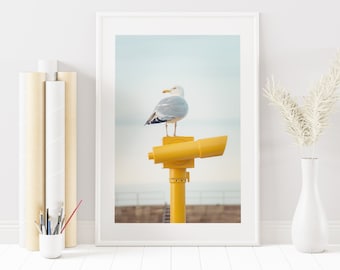 Seagull Print - Coastal Wall Art - Coastal Photography Print - Yellow Decor - Yellow Wall Art - Home Decor - Seagull Poster - Seagull Art