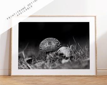 Mushroom Black and White Photography Print - Hampshire Photography Prints - Wall Art -  Frame and Canvas Options - Landscape  - UK
