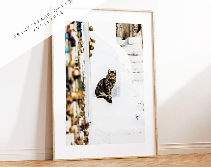 Cat Print - Greece - Print - Poster - Santorini Photography - Greece Wall Art - Fine Art Photography - Santorini Cats - Greek Wall Art
