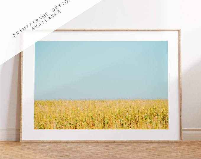 Field Photography Print - West Sussex Photography Prints - Wall Art -  Frame and Canvas Options - Landscape  - UK