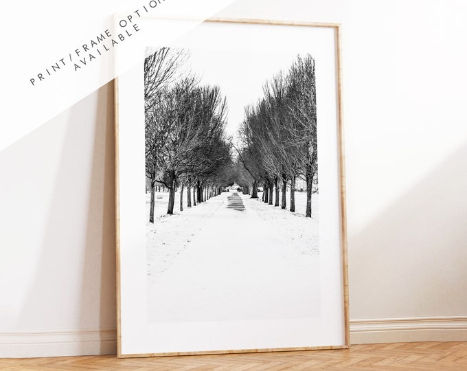 Snowy Southsea - Photography Print - Portsmouth and Southsea Prints - Wall Art -  Frame and Canvas Options - Portrait
