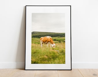 Cow Photography Print - Fine Art Photography Print - Peak District Photography - Peak District Print - Nature - Rustic - Vintage Homestyle