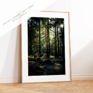 New Forest Photography Print - Hampshire Photography Prints - Wall Art -  Frame and Canvas Options - Portrait  - UK