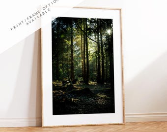 New Forest Photography Print - Hampshire Photography Prints - Wall Art -  Frame and Canvas Options - Portrait  - UK