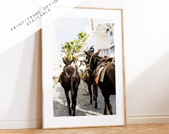 Santorini Donkey Photography Print - Greece - Print - Poster - Santorini Photography - Greece Wall Art - Donkey - Donkeys - Thera - Fira