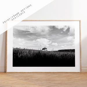Lone Tree Black and White Photography Print - New Forest - Hampshire Photography Prints -  Frame and Canvas Options - Landscape  - UK