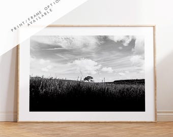 Lone Tree Black and White Photography Print - New Forest - Hampshire Photography Prints -  Frame and Canvas Options - Landscape  - UK