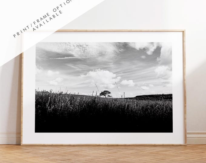 Lone Tree Black and White Photography Print - New Forest - Hampshire Photography Prints -  Frame and Canvas Options - Landscape  - UK