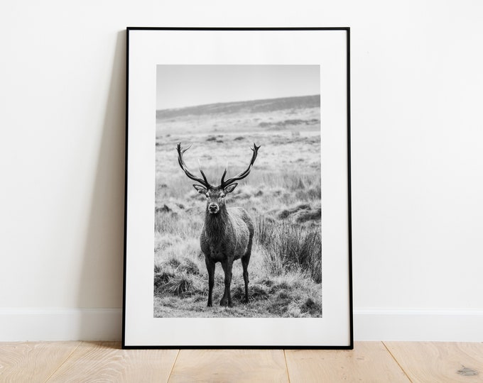 Black and White Stag Print - Fine Art Photography Print - Peak District Photography - Stag Poster - Stag Wall Art - Modern - Rustic - Gift