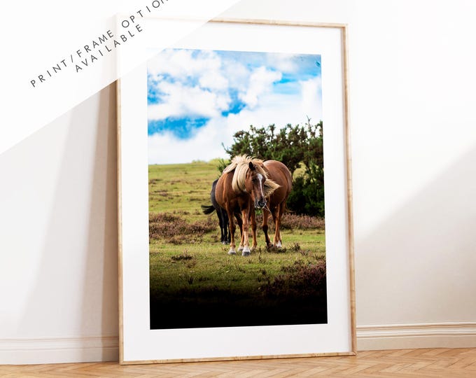 New Forest Pony Photography Print - Hampshire Photography Prints - Wall Art -  Frame and Canvas Options - Portrait  - UK