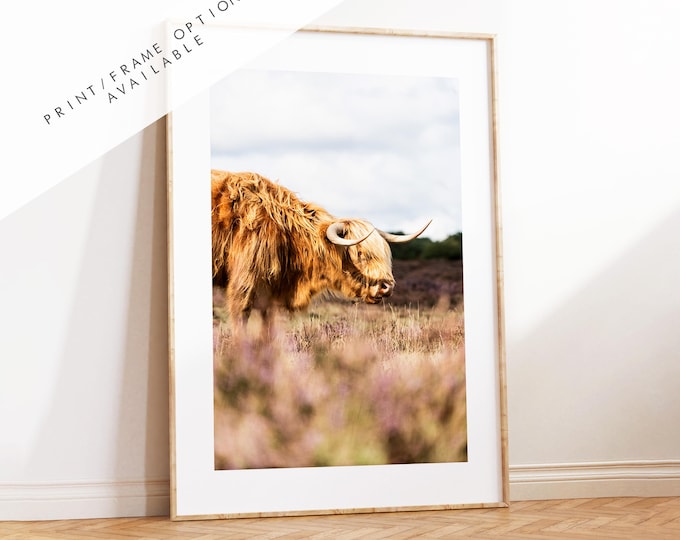 Highland Cow Photography Print - New Forest - Hampshire Photography Prints - Wall Art -  Frame and Canvas Options - Portrait  - UK