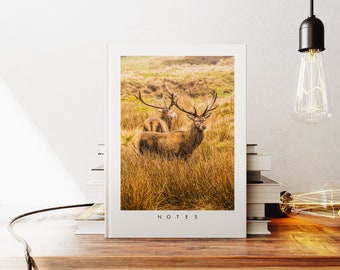Stag Notebook - A5 or A4 - Minimalist - Hardcover Journal - Ringbound Notebook - Lined - Graph - Plain Paper - Small Gift - Gift - Stags