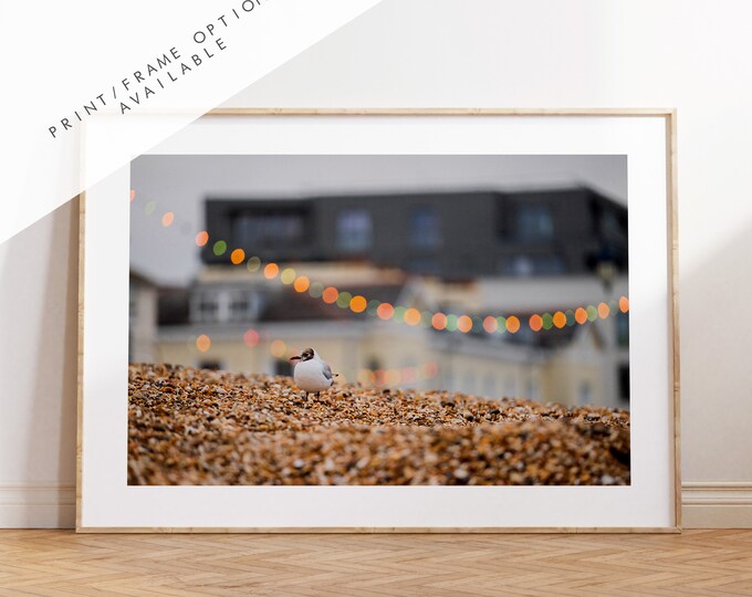 Seagull Print - Photography Print - Portsmouth and Southsea Prints - Wall Art -  Frame and Canvas Options - Landscape