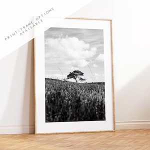 Black and White Tree Photography Print - New Forest - Hampshire Photography Prints - Wall Art -  Frame and Canvas Options - Portrait  - UK