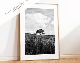Black and White Tree Photography Print - New Forest - Hampshire Photography Prints - Wall Art -  Frame and Canvas Options - Portrait  - UK