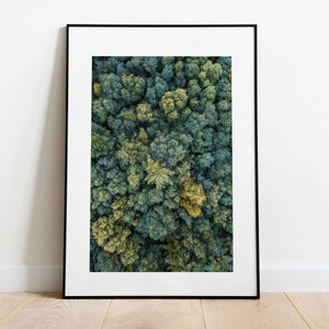 Minimalistischer Wald Print - Fine Art Fotografie Druck - Luftaufnahme - Modern - Luftaufnahme - Bäume - Wald - Poster - Wandkunst