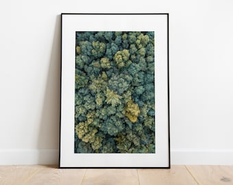 Minimalist Forest Print - Fine Art Photography Print - Aerial Photography - Modern - Aerial View - Trees - Forest - Poster - Wall Art