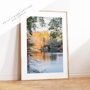 Central Park Print - New York City Fotografie Druck - Central Park Brücke - Central Park Herbst - Herbst - New York Poster - Bäume - Wand Kunst