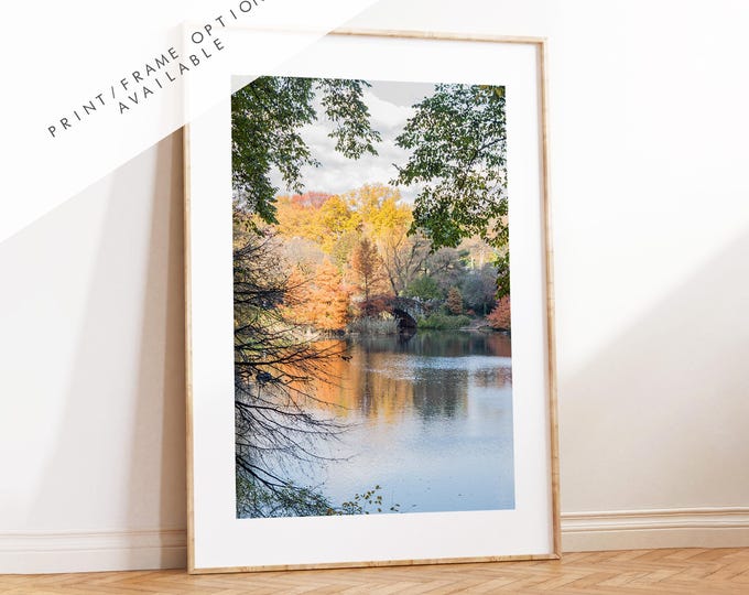 Central Park Print - New York City Photography Print - Central Park Bridge - Central Park Autumn - Fall - New York Poster - Trees - Wall Art