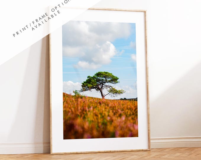 New Forest Photography Print - Hampshire Photography Prints - Wall Art -  Frame and Canvas Options - Portrait  - UK