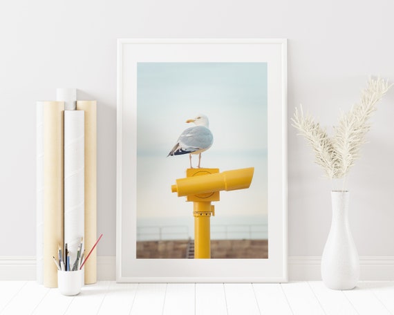 Seagull Print - Coastal Wall Art - Coastal Photography Print - Yellow Decor - Yellow Wall Art - Home Decor - Seagull Poster - Seagull Art