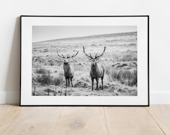 Landscape Stag Print - Fine Art Photography Print - Peak District Photography - Stag Poster - Stag Wall Art - Modern - Rustic - Gift -