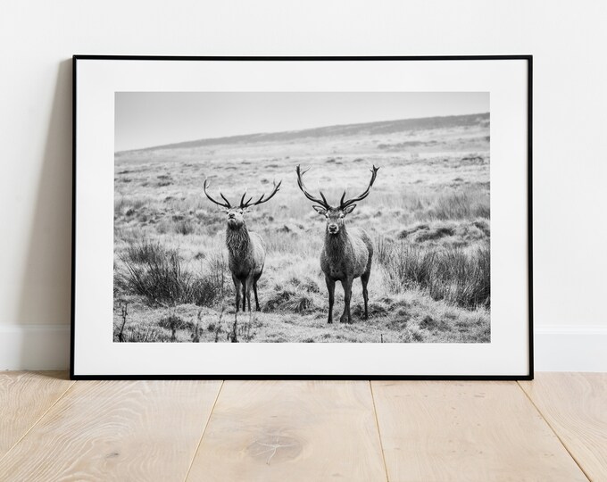 Landscape Stag Print - Fine Art Photography Print - Peak District Photography - Stag Poster - Stag Wall Art - Modern - Rustic - Gift -