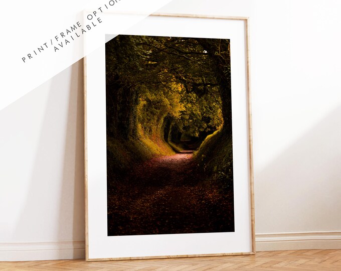 Halnaker Tree Tunnel Photography Print - West Sussex Photography Prints - Wall Art -  Frame and Canvas Options - Portrait  - UK