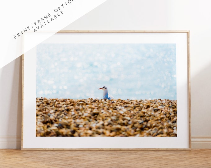 Seagull Print - Photography Print - Portsmouth and Southsea Prints - Wall Art -  Frame and Canvas Options - Landscape