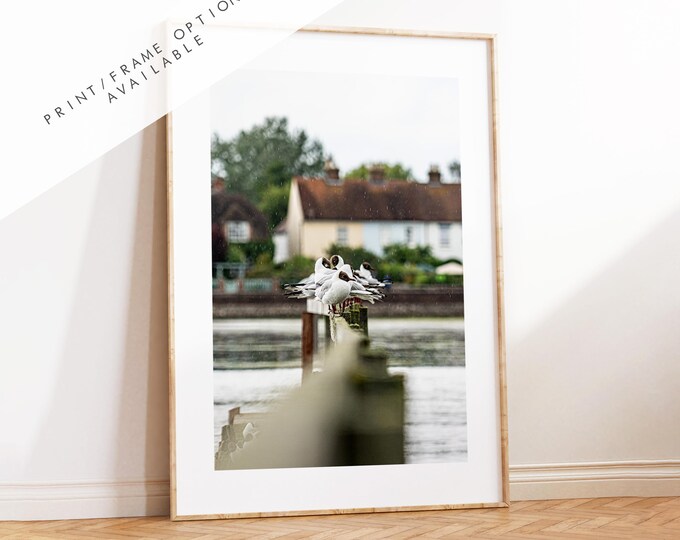 Bosham Photography Print - West Sussex Photography Prints - Wall Art -  Frame and Canvas Options - Portrait  - UK