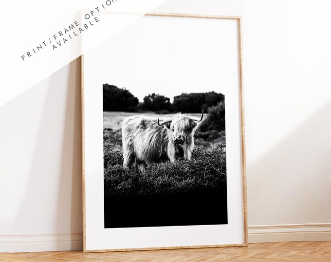 Highland Cow Black and White Photography Print - New Forest - Hampshire Photography Prints - Wall Art -  Frame and Canvas Options - Portrait