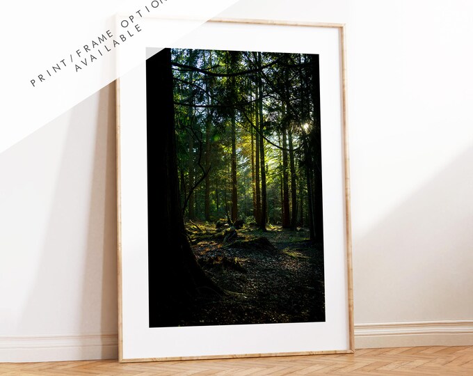 Forest Photography Print - New Forest - Hampshire Photography Prints - Wall Art -  Frame and Canvas Options - Portrait  - UK