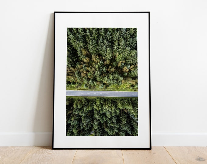 Road through the trees - Forest Print - Fine Art Photography Print - Aerial Photography - Modern - Aerial View - Trees - Forest - Poster