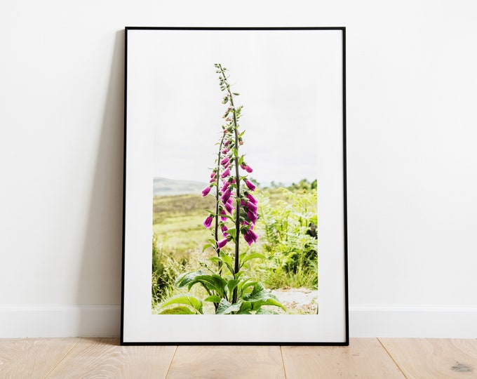 Wild Flowers Photography Print - Fine Art Photography Print - Peak District Photography - Peak District Print  - Rustic - Vintage Homestyle