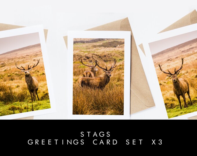 Stags Greeting Card Set - 3x Greeting Cards - Blank Inside - Brown Recycled Envelopes - Wedding - Birthday - Anniversary - Stag - Deer