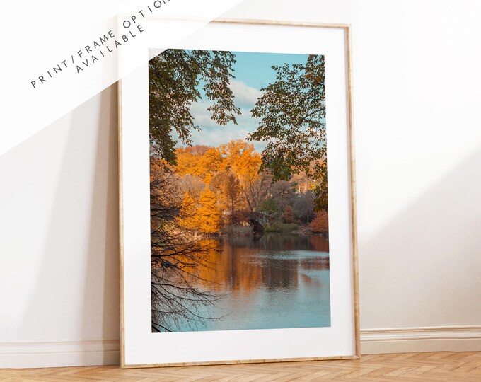 Central Park Print - NYC Photography Print - New York City - Prints or Framed Prints available - New York City Wall Art