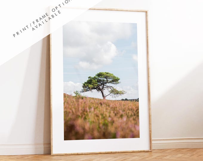 Lone Tree Photography Print - New Forest - Hampshire Photography Prints - Wall Art -  Frame and Canvas Options - Portrait  - UK