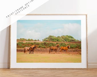 New Forest Photography Print - Hampshire Photography Prints - Wall Art -  Frame and Canvas Options - Landscape  - UK