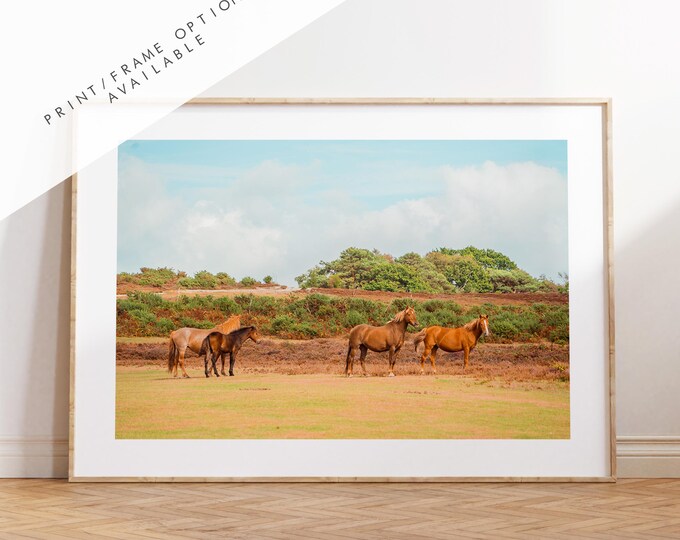 New Forest Photography Print - Hampshire Photography Prints - Wall Art -  Frame and Canvas Options - Landscape  - UK