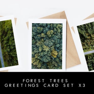 Ensemble de cartes de voeux forêt - 3 cartes de voeux - intérieur vierge - enveloppes recyclées marron - mariage - anniversaire - anniversaire - arbres - forêt