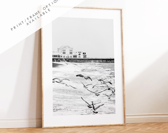 Seagulls in the Storm - Photography Print - Portsmouth and Southsea Prints - Wall Art -  Frame and Canvas Options - Portrait - BW