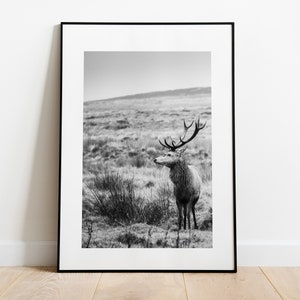 Minimalist Stag Print - Fine Art Photography Print - Peak District Photography - Stag Poster - Stag Wall Art - Modern - Rustic Homestyle